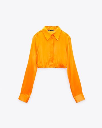 Cropped Shirt (Demo)